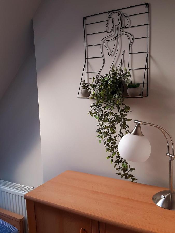 Апартаменты Apartament Gdansk'A Новы-Двур-Гданьский Экстерьер фото